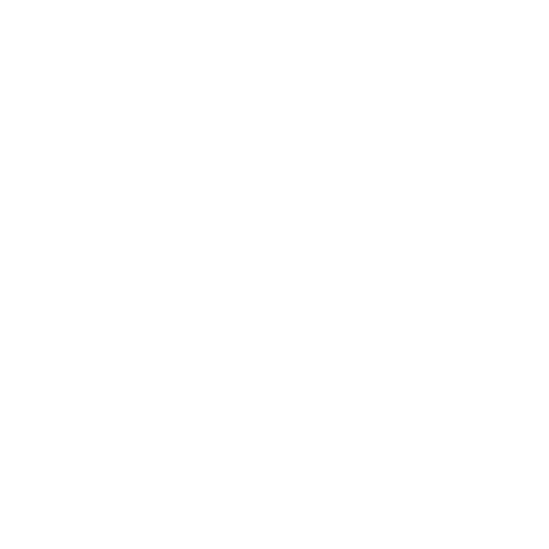 Stefan Solutions logo